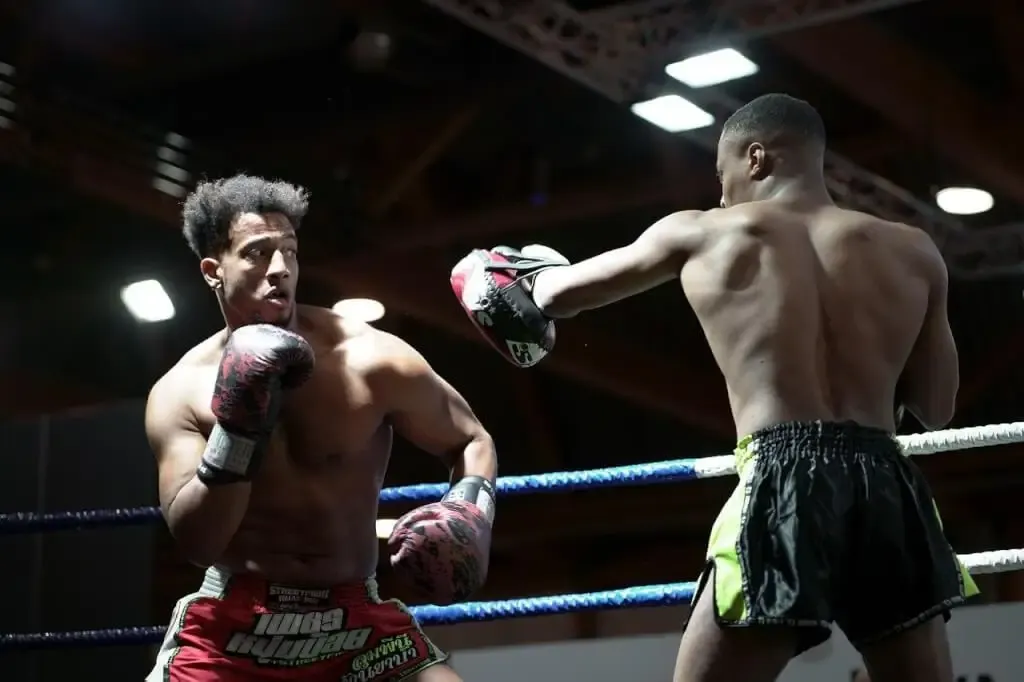 Free Boxing Boxers photo and picture