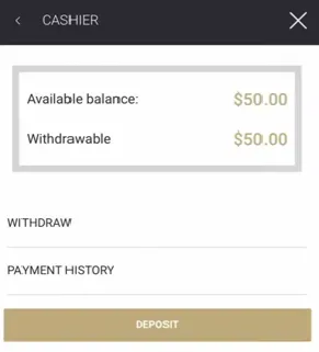 Request Withdrawal - Screenshot with balance details.