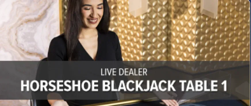 Horseshoe - Portrait with live dealer at table.