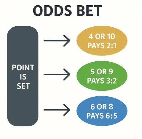 Odds Bet - Infographic with payout details.