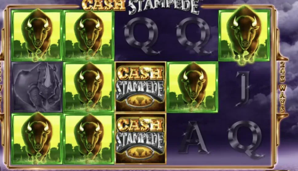 Cash Stampede - Gameplay screenshot with buffalo symbols.
