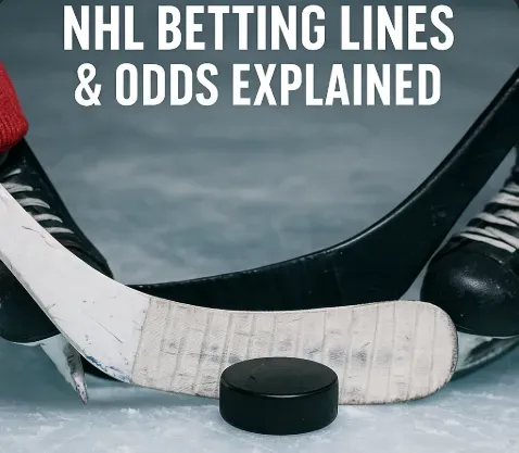 Image 257 - Banner with hockey stick and puck.