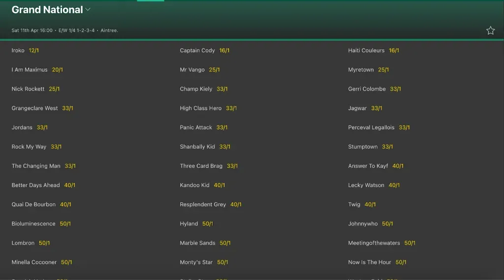 **Grand National - Race List with Horse Odds**