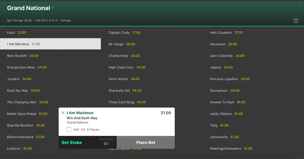 I Am Maximus - Betting slip for Grand National.