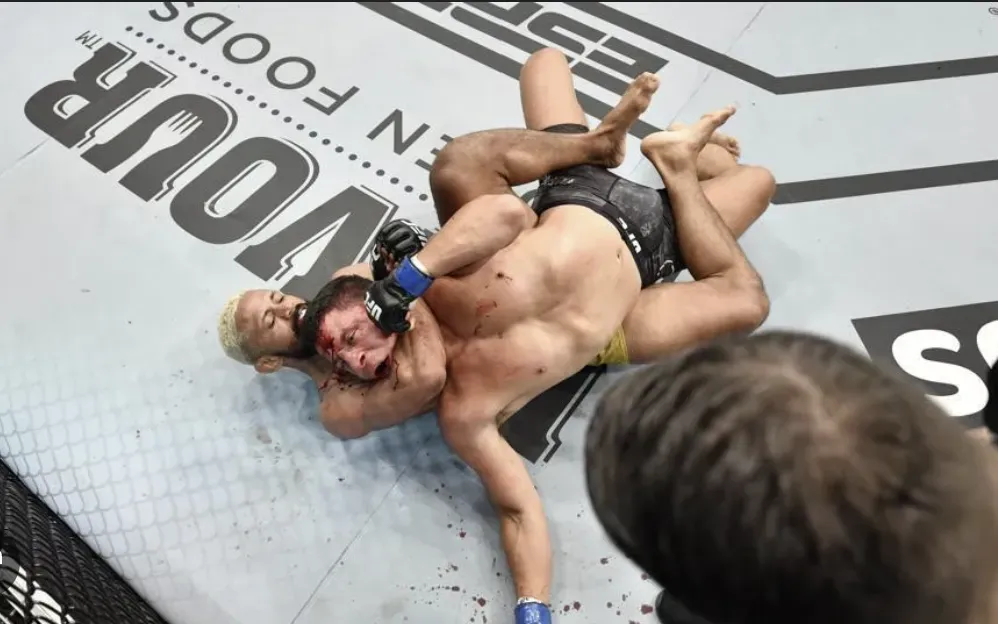 UFC Fight 2 - Image of fighters grappling on mat.