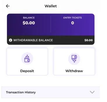 Wanna Parlay - Product photo with wallet interface.