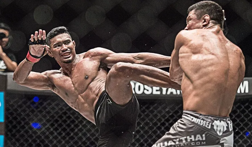 MMA Fight - Action shot with fighters in motion.