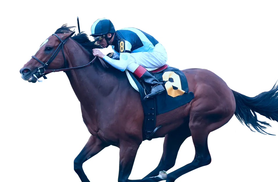 Jockey riding a racehorse