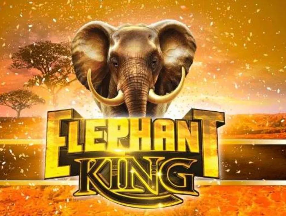 Elephant King - Banner with an elephant and sunset.